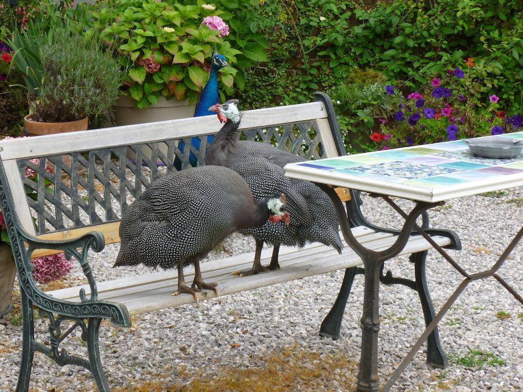 Manoir Francis Bed & Breakfast Marles-sur-Canche Eksteriør bilde